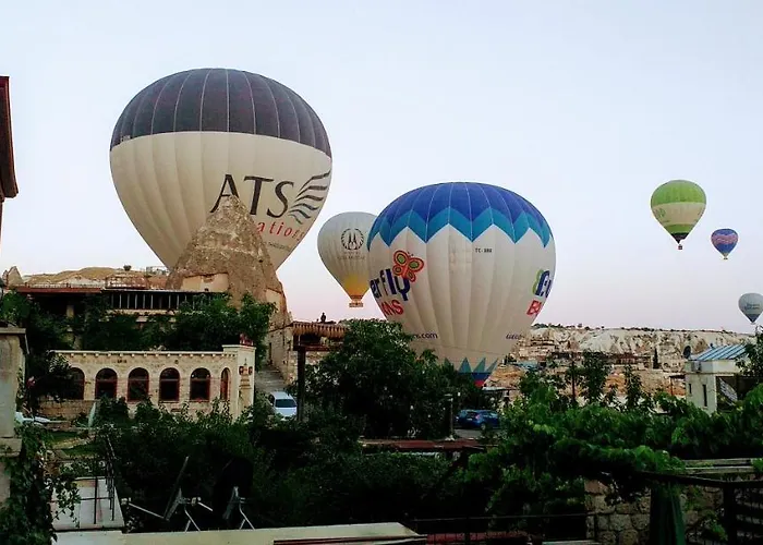 谷子德窑洞酒店 酒店