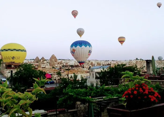 酒店 谷子德窑洞酒店 2*