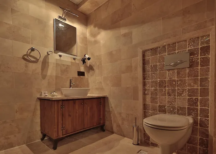 酒店 谷子德窑洞酒店 2*