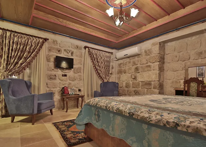 谷子德窑洞酒店 2*